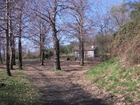 fugio Pianobello01042012 010